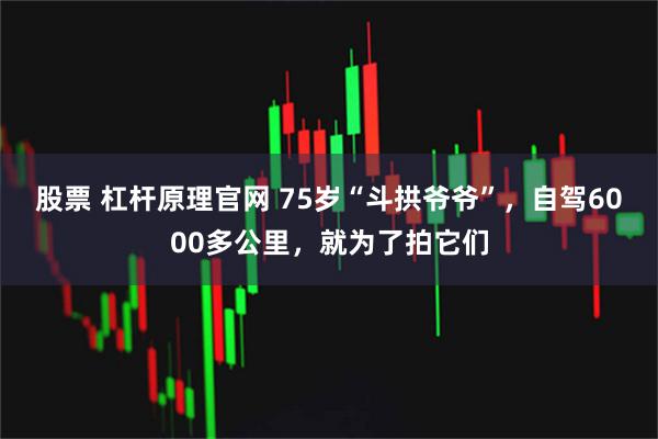 股票 杠杆原理官网 75岁“斗拱爷爷”，自驾6000多公里，就为了拍它们