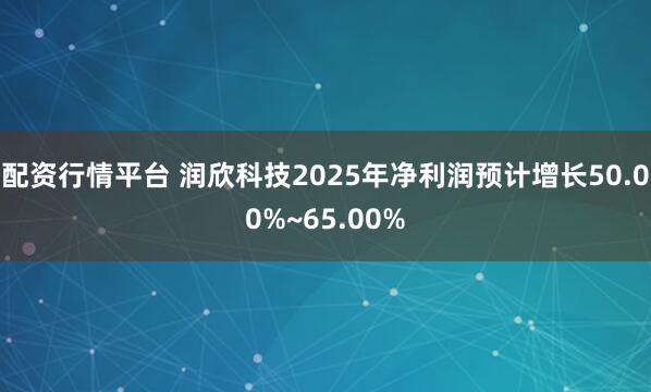 配资行情平台 润欣科技2025年净利润预计增长50.00%~65.00%