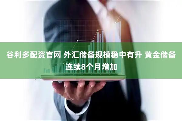 谷利多配资官网 外汇储备规模稳中有升 黄金储备连续8个月增加